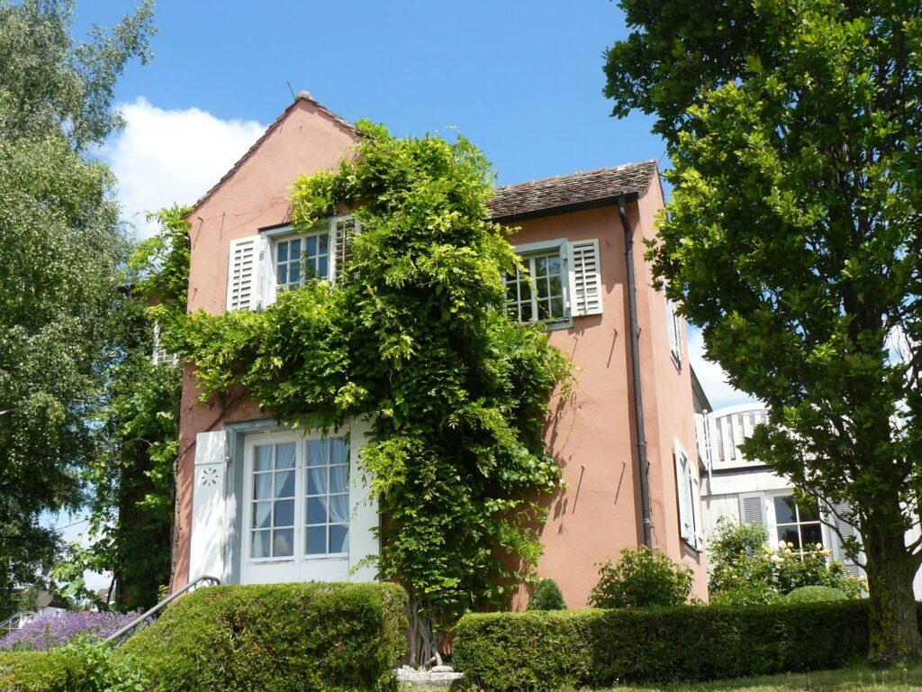 Charmantes Ferienhaus mit grüner Fassade – Ein idyllisches, mit Efeu bewachsenes Haus mit pastellfarbener Fassade und Fensterläden, umgeben von gepflegtem Garten und blühenden Pflanzen.